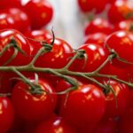 Thumbnail of related posts 139