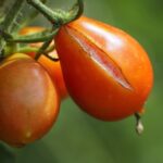 Thumbnail of post image 064