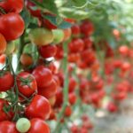 Thumbnail of related posts 067