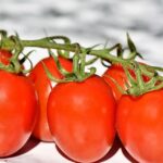 Thumbnail of post image 044