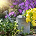 Thumbnail of post image 120