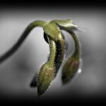 Thumbnail of post image 124