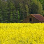 Thumbnail of related posts 027