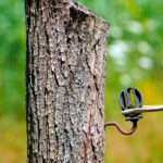 Thumbnail of post image 002