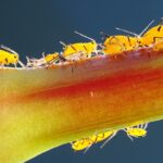 Thumbnail of post image 167