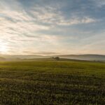 Thumbnail of related posts 067