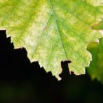 Thumbnail of related posts 027