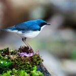 Thumbnail of related posts 138